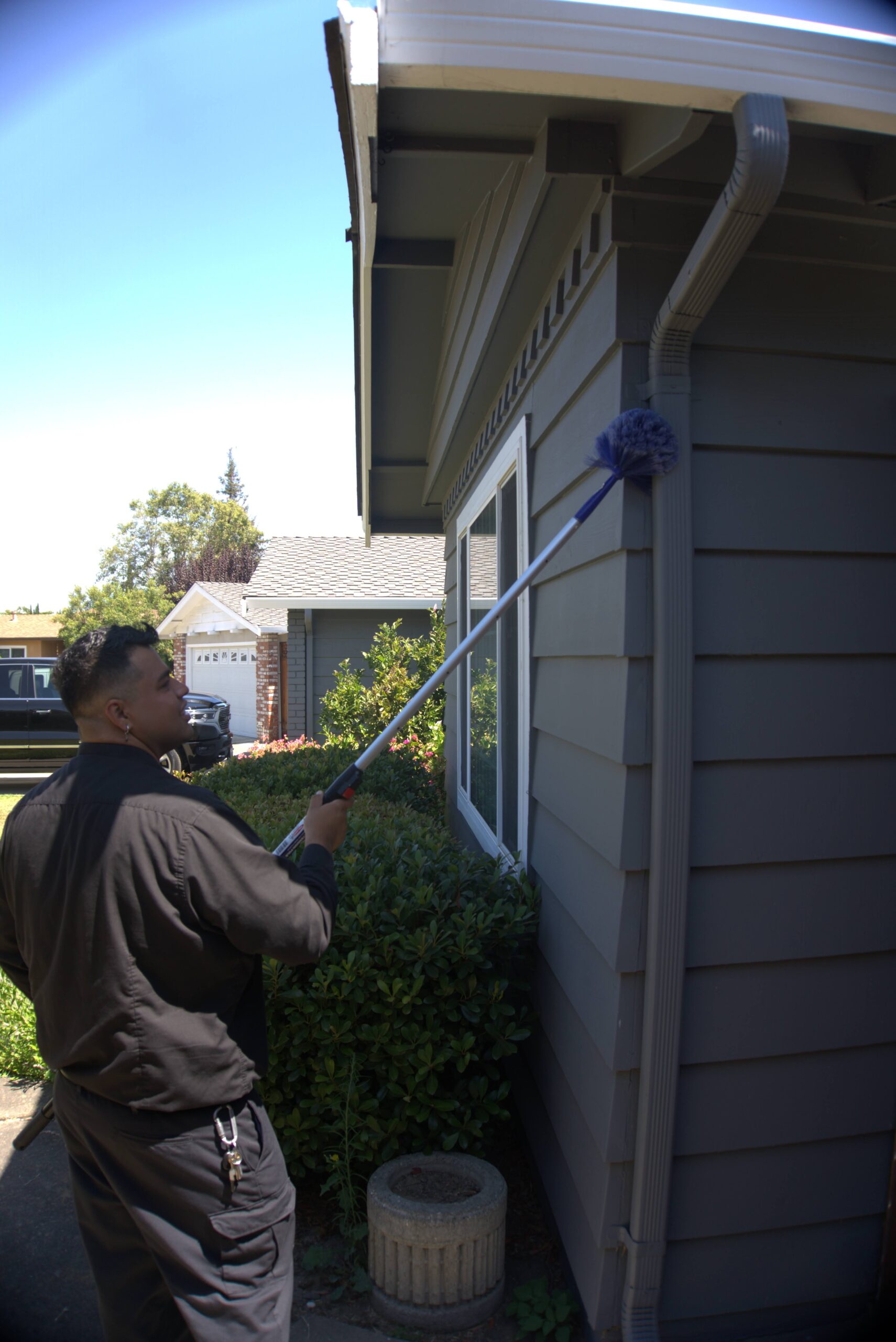 Pest Control Santa Clara