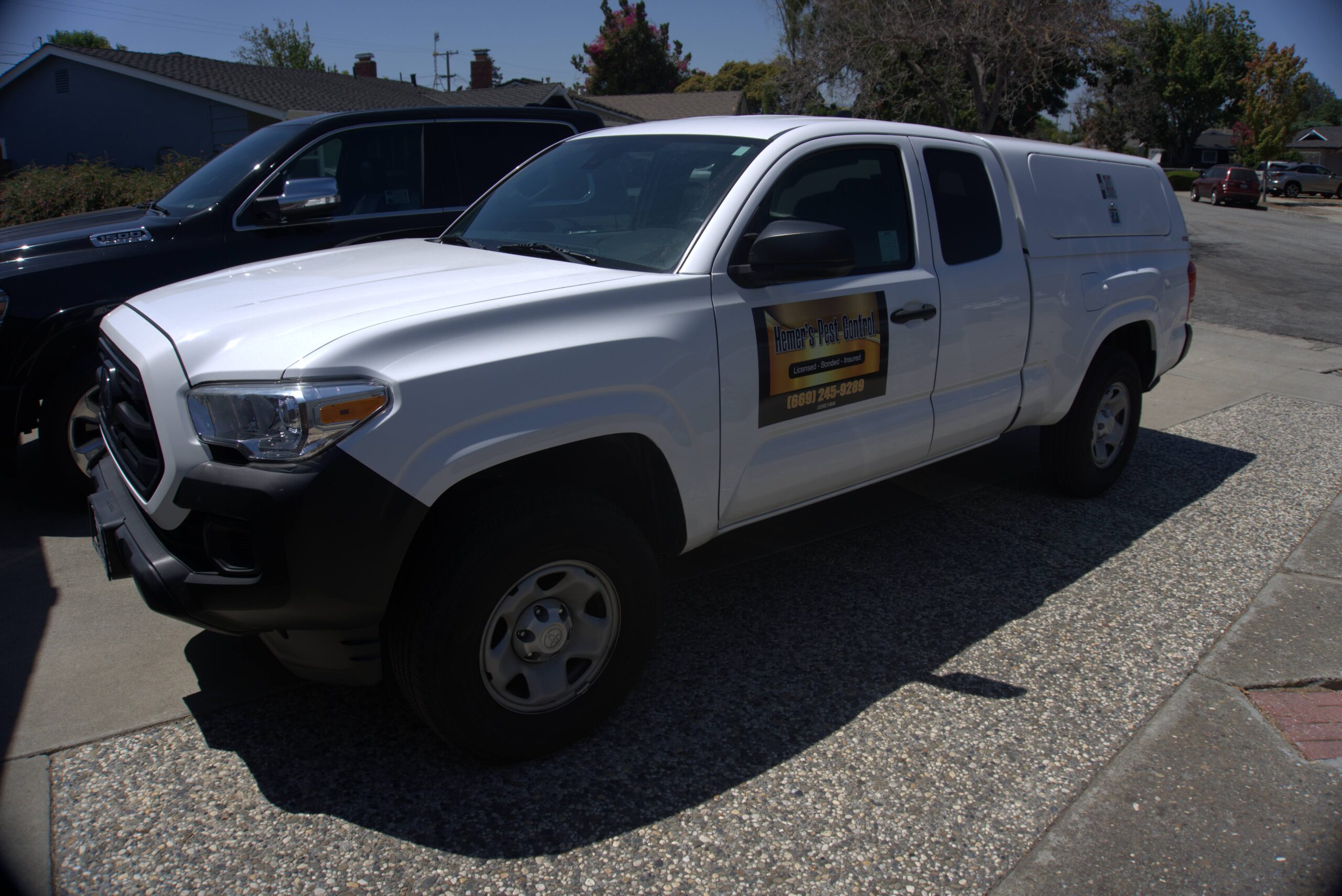 Pest Control Santa Clara